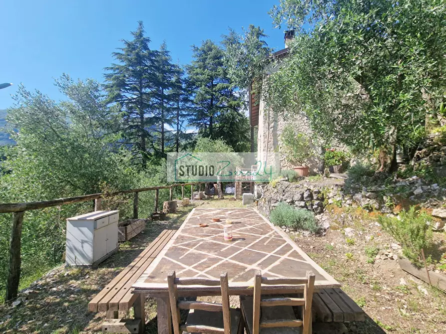 Immagine 24 di Villa in vendita  in Via della torre a Camaiore