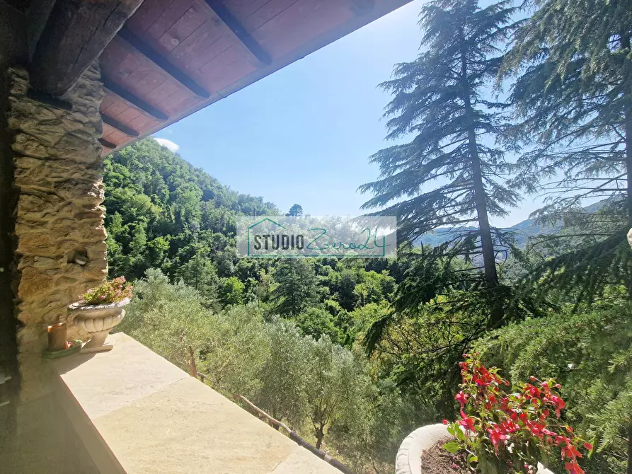 Immagine 42 di Villa in vendita  in Via della torre a Camaiore