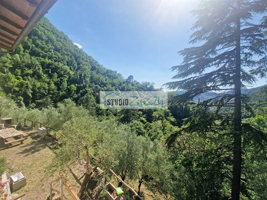 Immagine 44 di Villa in vendita  in Via della torre a Camaiore