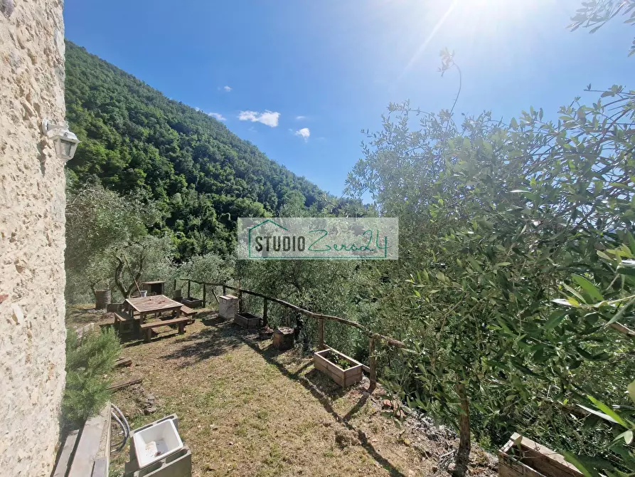 Immagine 57 di Villa in vendita  in Via della torre a Camaiore