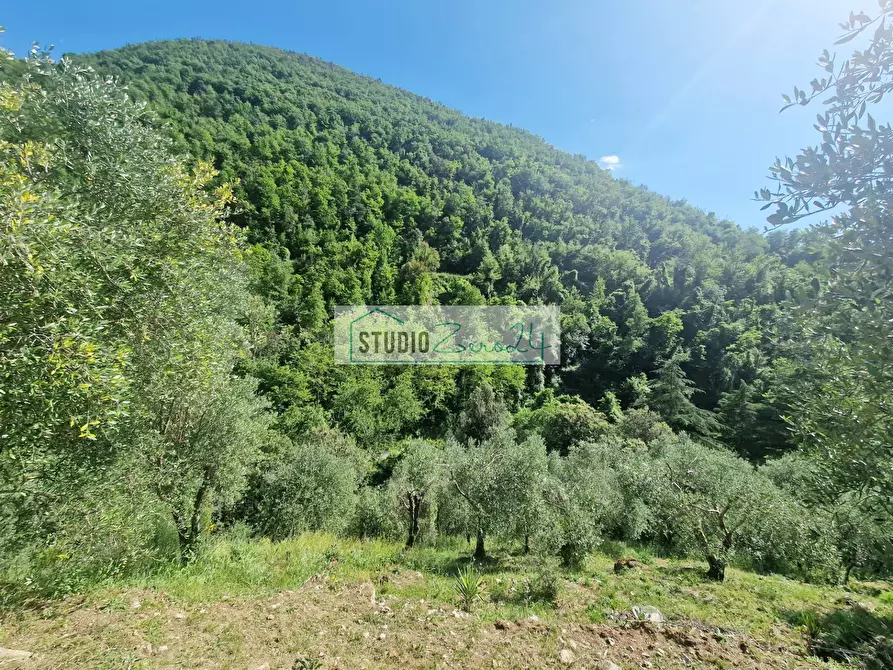 Immagine 63 di Villa in vendita  in Via della torre a Camaiore