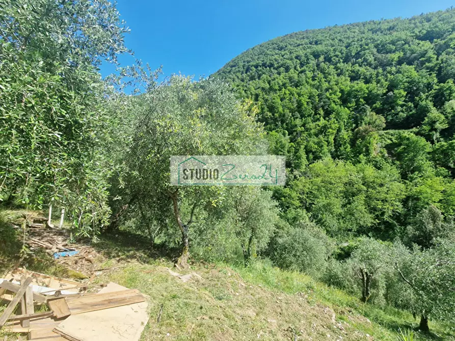 Immagine 64 di Villa in vendita  in Via della torre a Camaiore