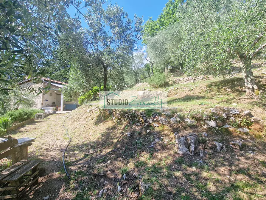 Immagine 65 di Villa in vendita  in Via della torre a Camaiore