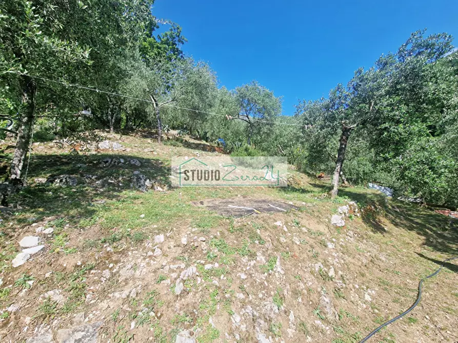 Immagine 66 di Villa in vendita  in Via della torre a Camaiore