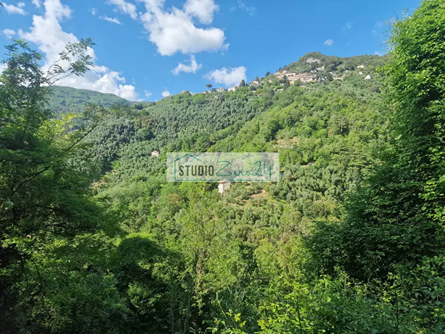 Immagine 69 di Villa in vendita  in Via della torre a Camaiore