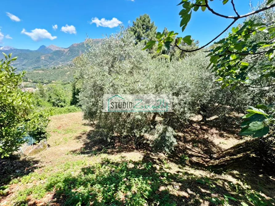 casa indipendente in vendita a Camaiore in zona Montemagno