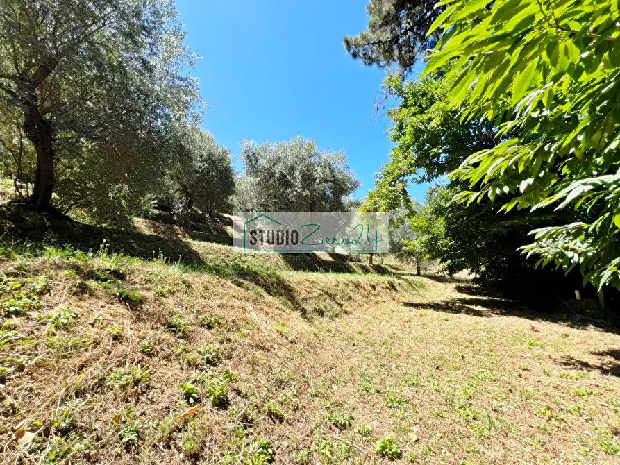 Immagine 5 di Terreno residenziale in vendita  in via vecchia provinciale a Camaiore