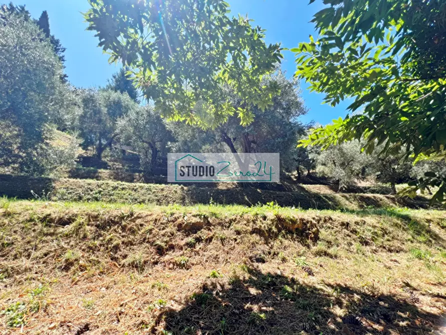 Immagine 6 di Terreno residenziale in vendita  in via vecchia provinciale a Camaiore