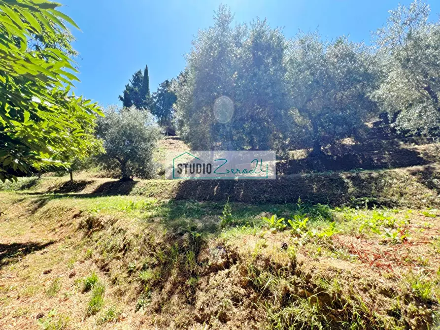 Immagine 7 di Terreno residenziale in vendita  in via vecchia provinciale a Camaiore