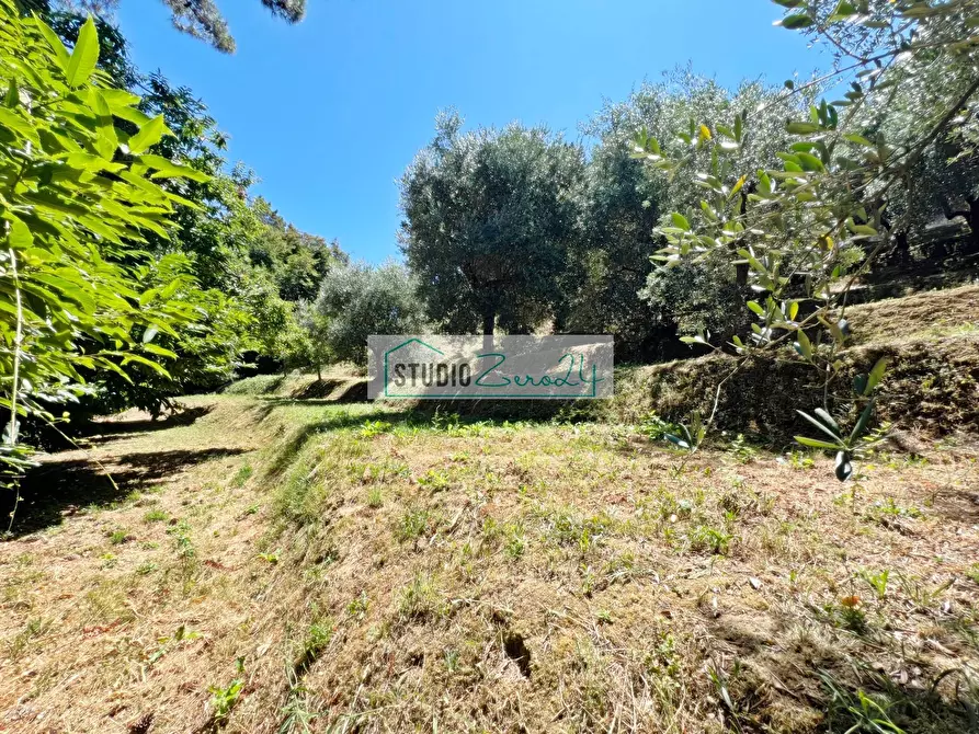 Immagine 8 di Terreno residenziale in vendita  in via vecchia provinciale a Camaiore