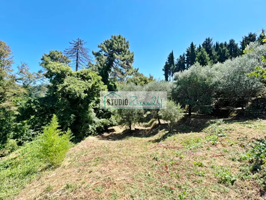 Immagine 9 di Terreno residenziale in vendita  in via vecchia provinciale a Camaiore