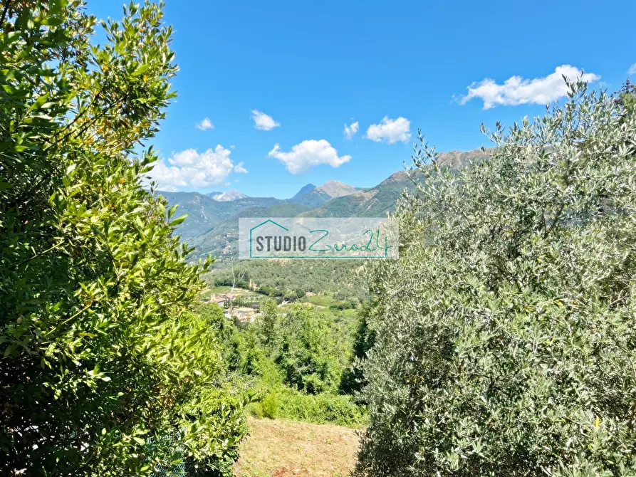 Immagine 13 di Terreno residenziale in vendita  in via vecchia provinciale a Camaiore