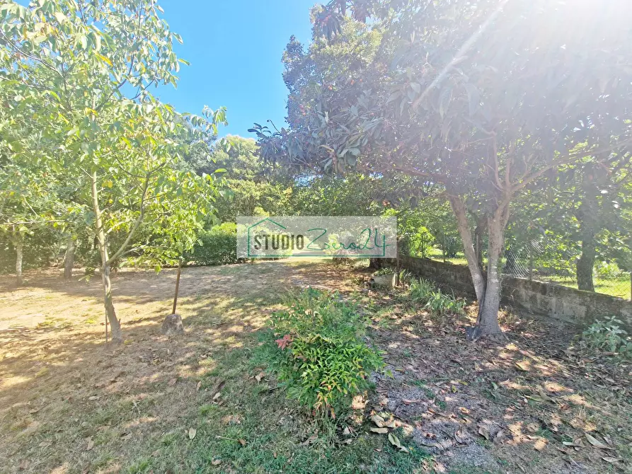 Immagine 29 di Casa semindipendente in vendita  in via Firenze 16 a Camaiore