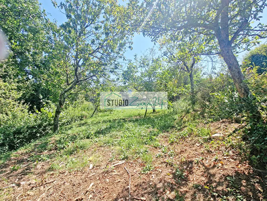 Immagine 25 di Villa in vendita  in Via Gattarella 156 a Camaiore