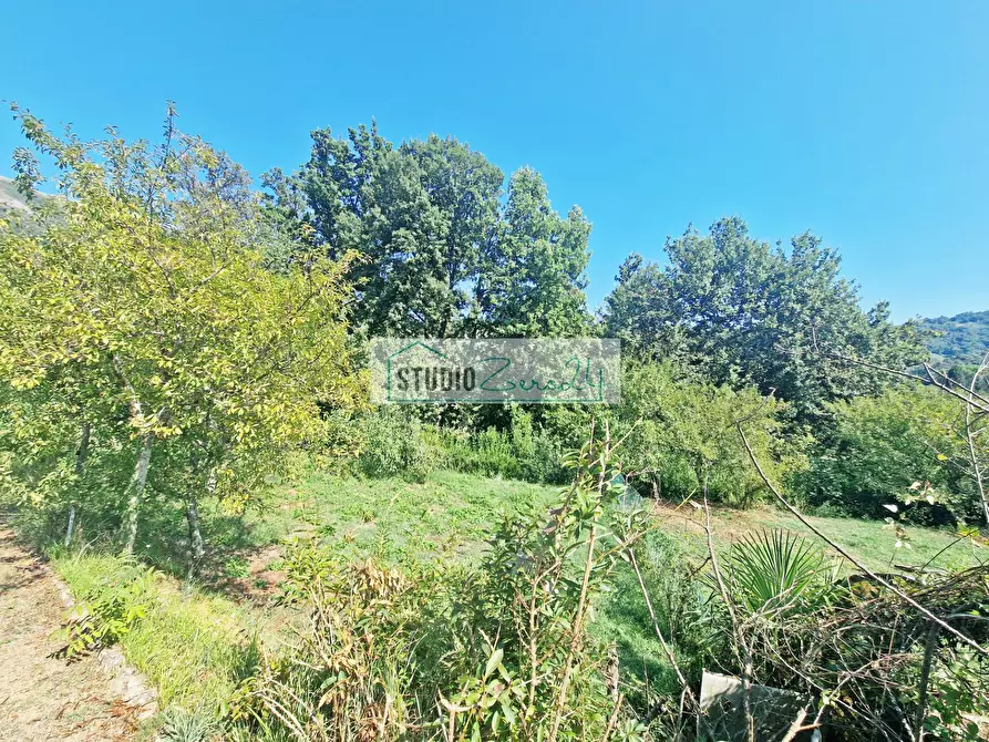 Immagine 26 di Villa in vendita  in Via Gattarella 156 a Camaiore