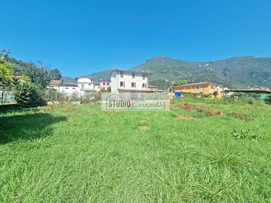 Immagine 60 di Villa in vendita  in Via Della Serra 22 a Camaiore