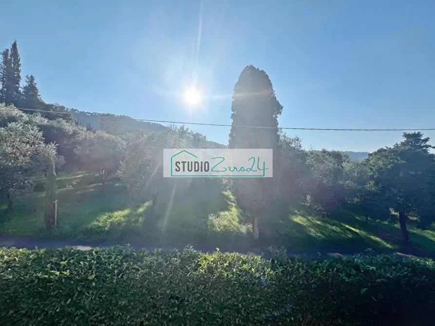 Immagine 21 di Villa in vendita  in via di rigoli a Camaiore