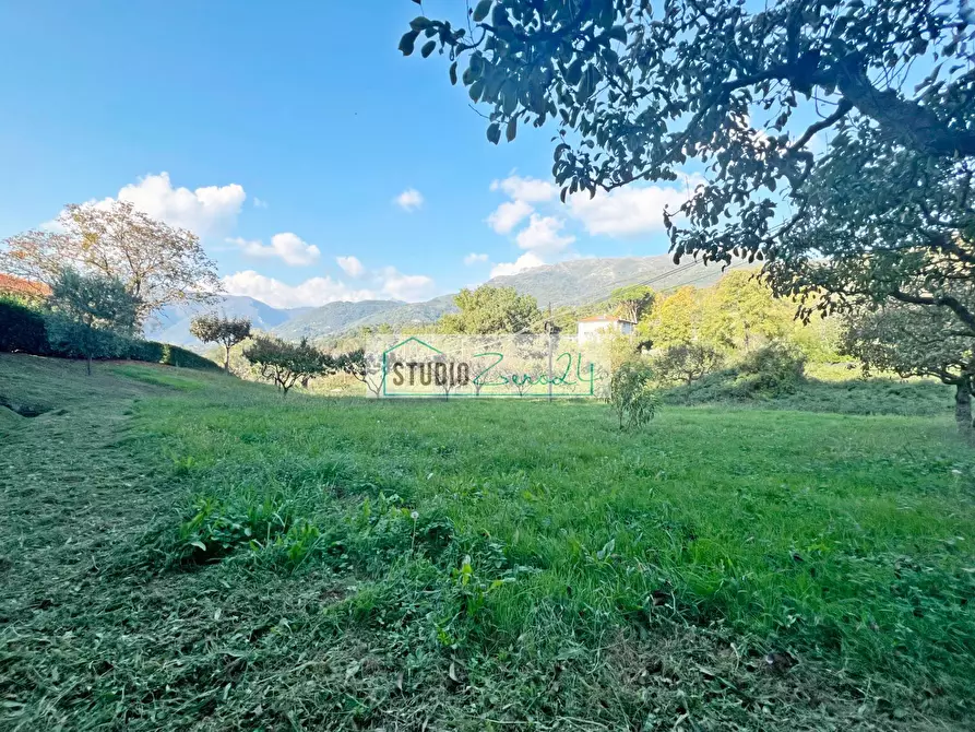 Immagine 27 di Villa in vendita  in via di rigoli a Camaiore