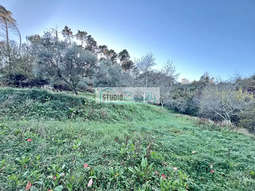 Immagine 28 di Casa semindipendente in vendita  in via xxv aprile a Camaiore