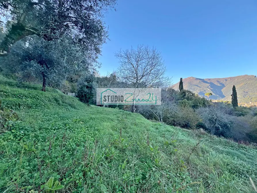 Immagine 30 di Casa semindipendente in vendita  in via xxv aprile a Camaiore