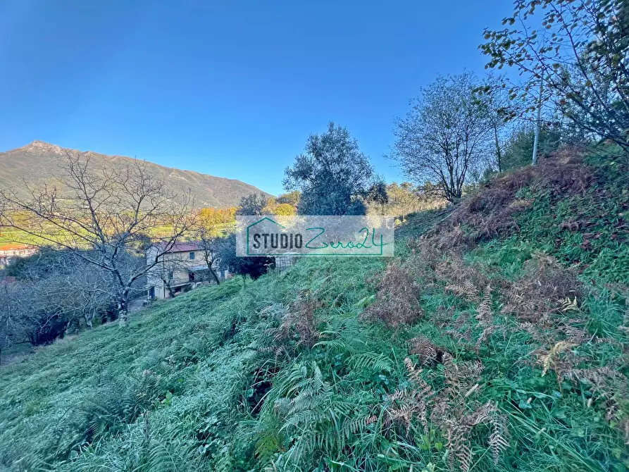 Immagine 31 di Casa semindipendente in vendita  in via xxv aprile a Camaiore