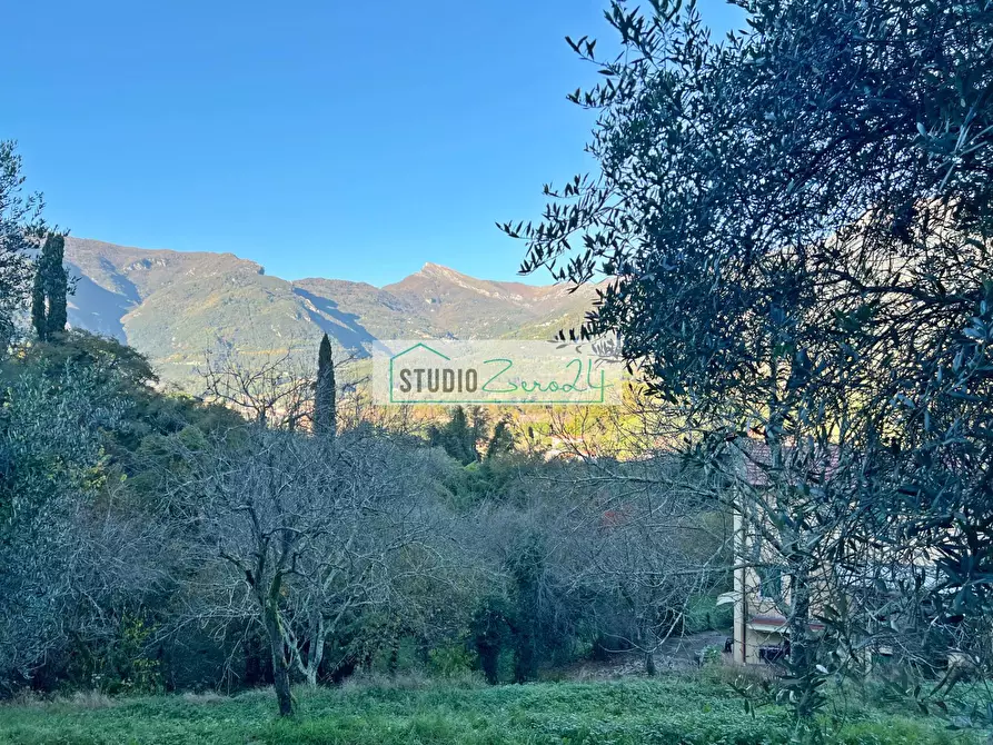 Immagine 33 di Casa semindipendente in vendita  in via xxv aprile a Camaiore