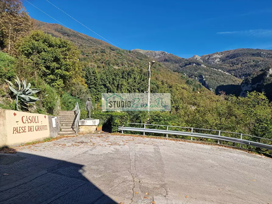 Immagine 34 di Casa semindipendente in vendita  in via colletti a Camaiore