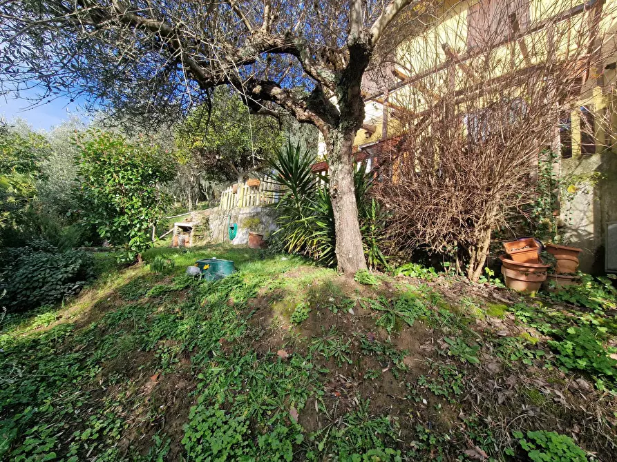 Immagine 54 di Casa semindipendente in vendita  a Camaiore