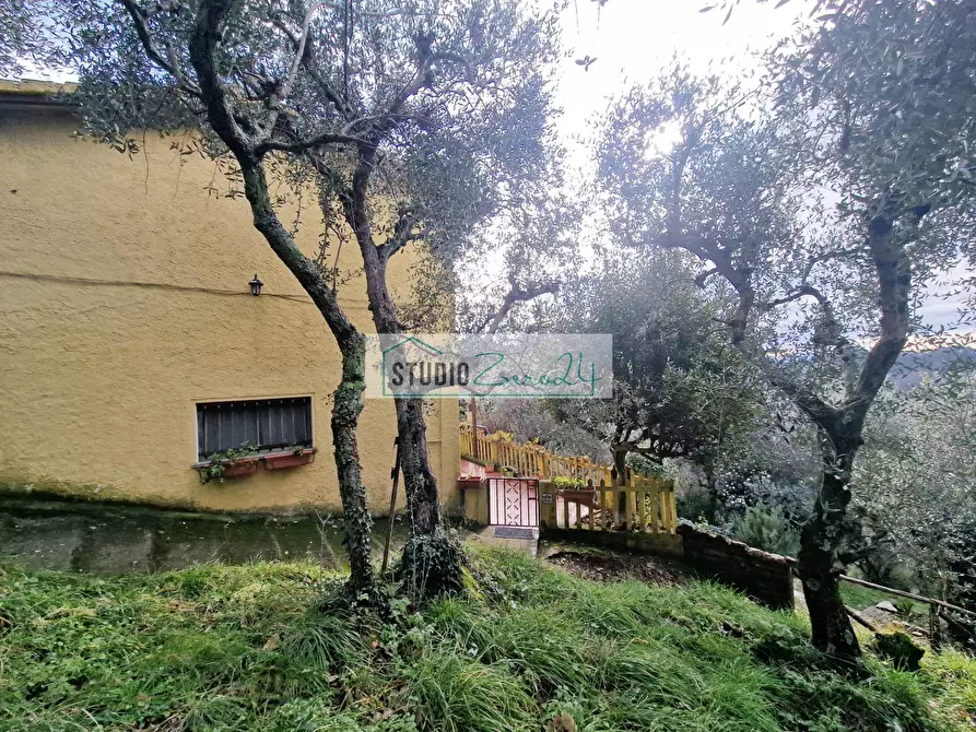 Immagine 57 di Casa semindipendente in vendita  a Camaiore