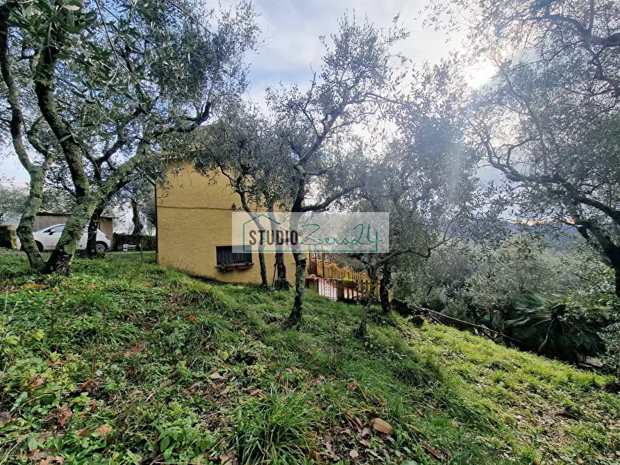 Immagine 58 di Casa semindipendente in vendita  a Camaiore