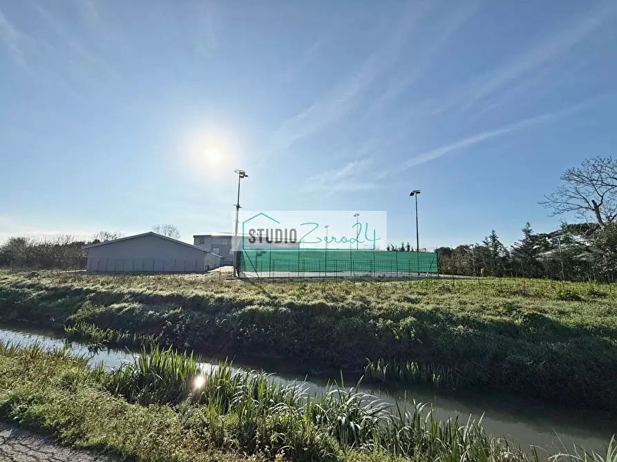 Immagine 6 di Terreno agricolo in vendita  in Via Bucine Ovest a Camaiore