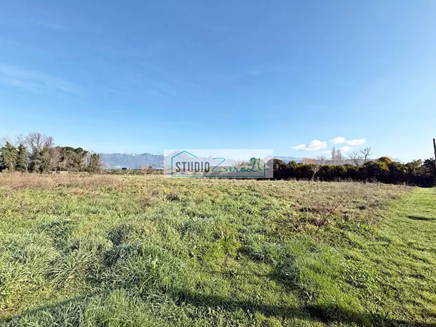 Immagine 4 di Terreno agricolo in vendita  in Via Bucine Ovest a Camaiore