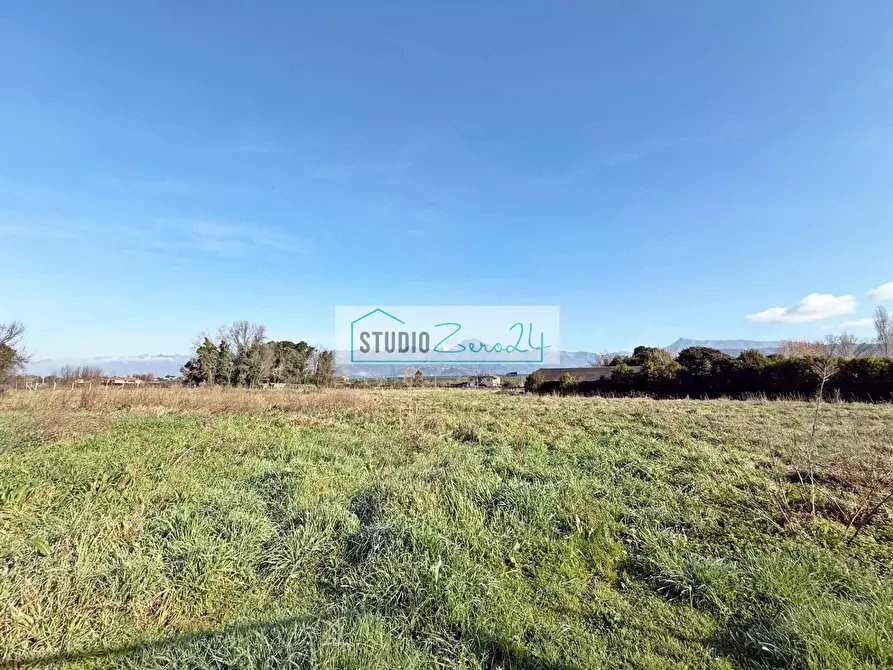 Immagine 3 di Terreno agricolo in vendita  in Via Bucine Ovest a Camaiore