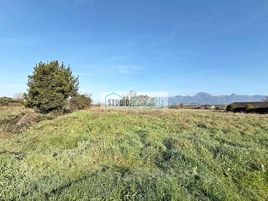 Immagine 2 di Terreno agricolo in vendita  in Via Bucine Ovest a Camaiore