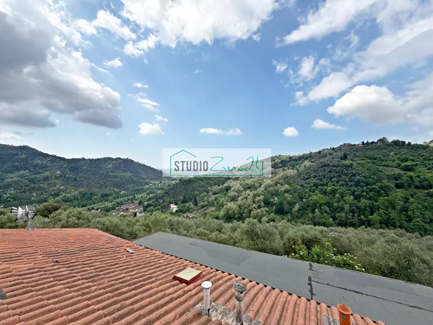 Immagine 35 di Casa semindipendente in vendita  in Via Colli Di Versona 40 a Camaiore