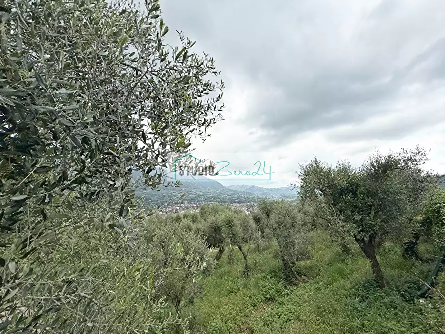 Immagine 42 di Casa semindipendente in vendita  in Via Colli Di Versona 40 a Camaiore