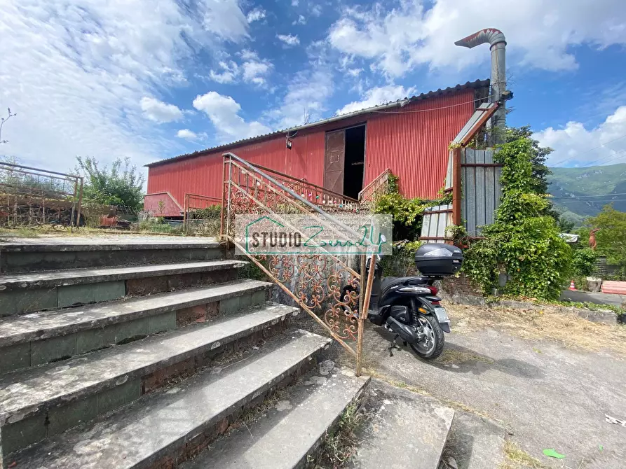 Immagine 17 di Villa in vendita  in via degli antichi 49 a Camaiore
