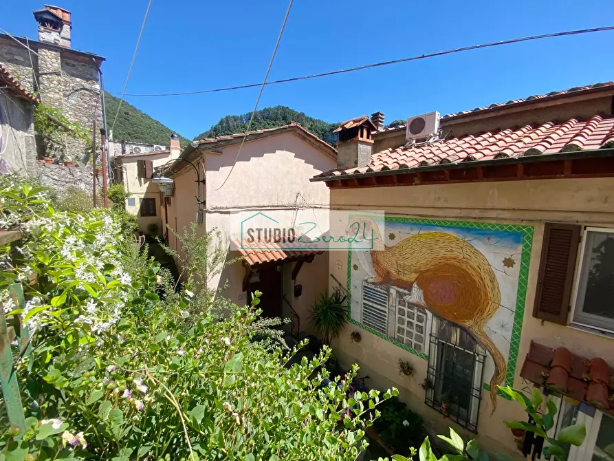 Immagine 3 di Casa semindipendente in vendita  in via di Torcigliano a Camaiore