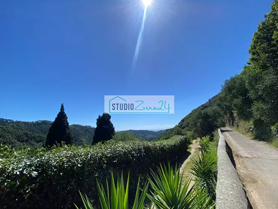 Immagine 29 di Casa semindipendente in vendita  in via di Torcigliano a Camaiore