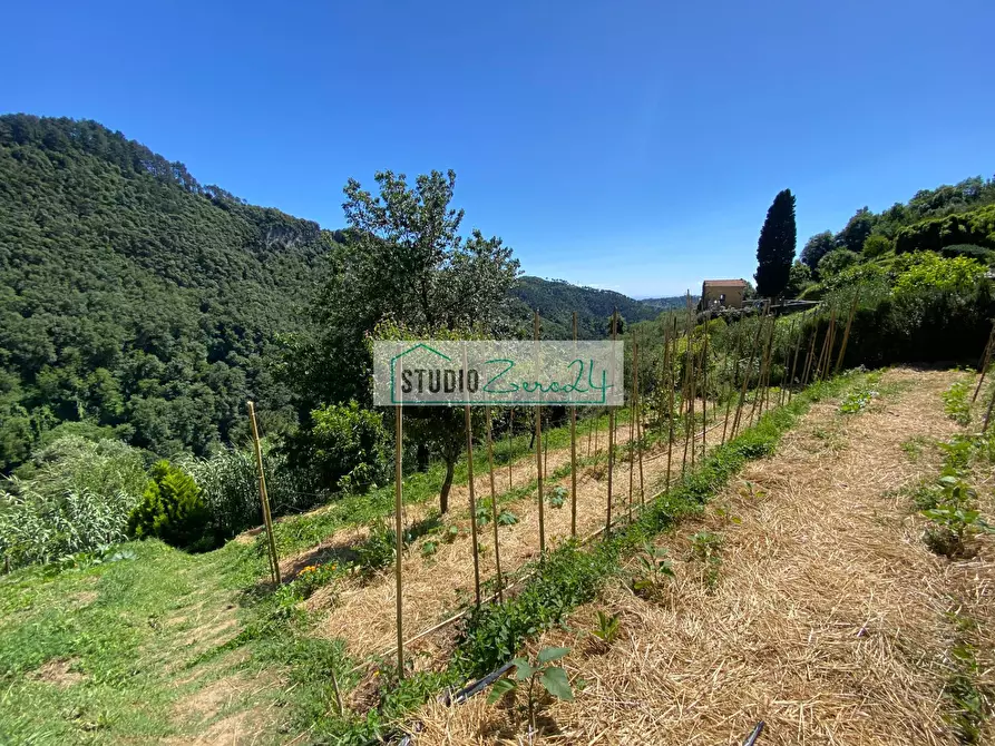 Immagine 31 di Casa semindipendente in vendita  in via di Torcigliano a Camaiore