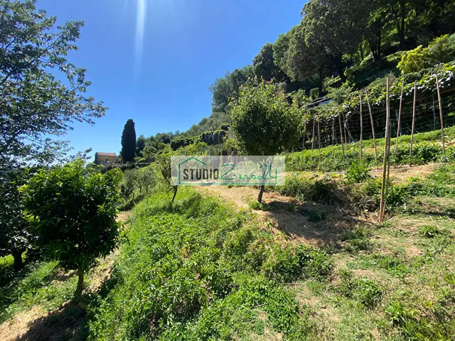 Immagine 32 di Casa semindipendente in vendita  in via di Torcigliano a Camaiore