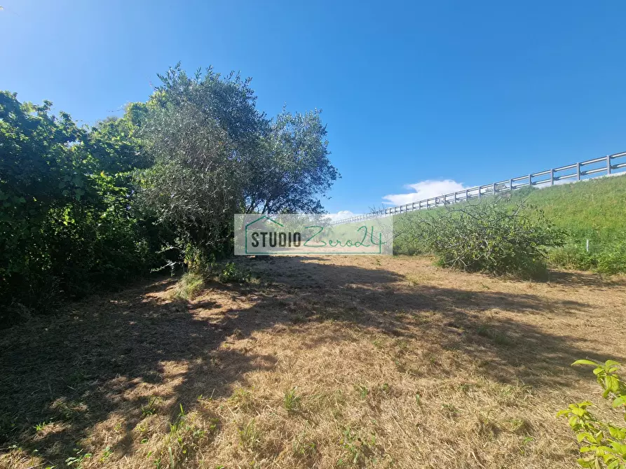 Immagine 3 di Terreno agricolo in vendita  in via bucine est a Camaiore