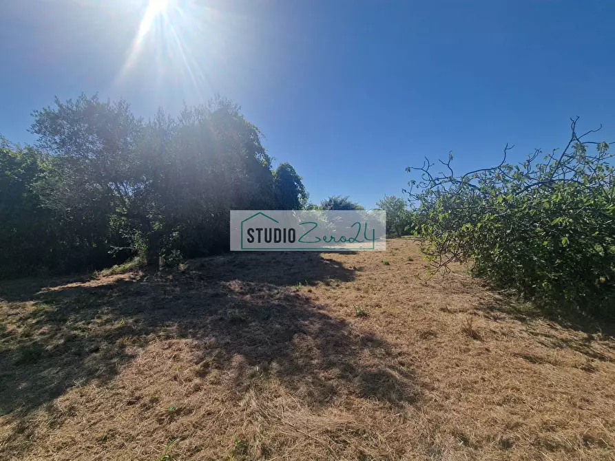 Immagine 4 di Terreno agricolo in vendita  in via bucine est a Camaiore