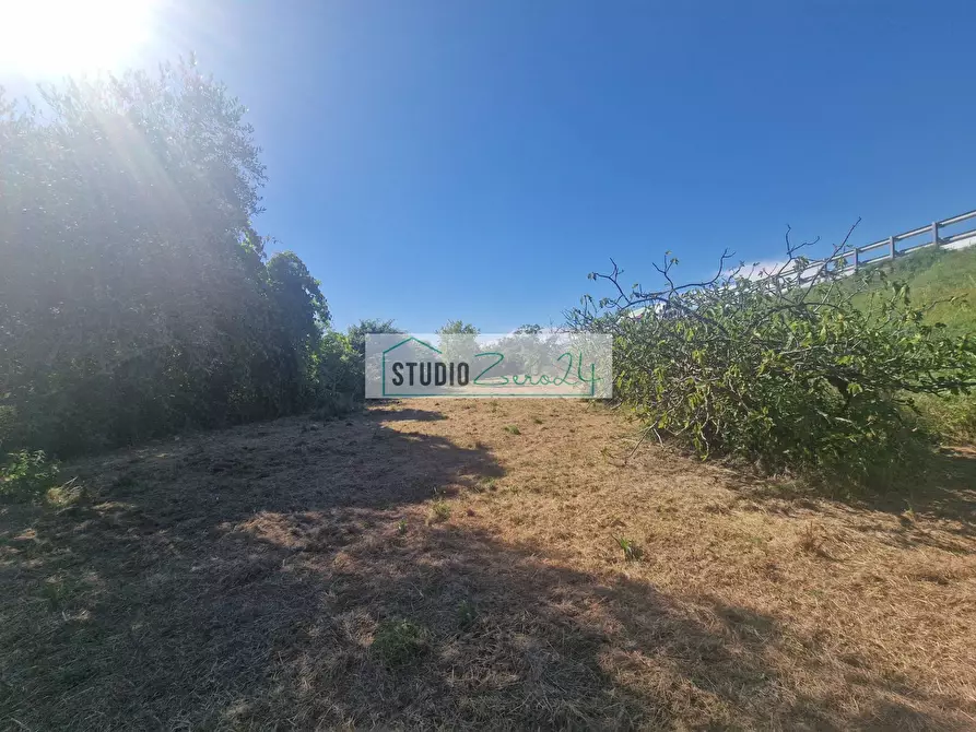 Immagine 5 di Terreno agricolo in vendita  in via bucine est a Camaiore