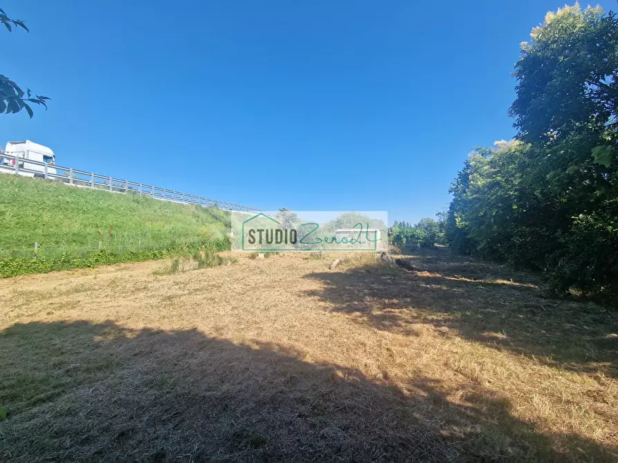 Immagine 2 di Terreno agricolo in vendita  in via bucine est a Camaiore