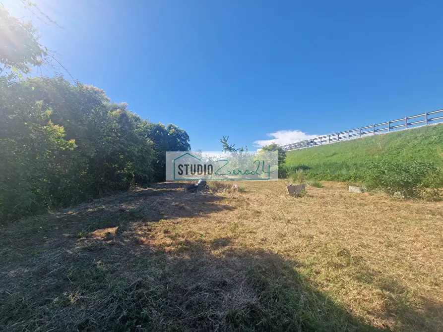 Immagine 6 di Terreno agricolo in vendita  in via bucine est a Camaiore