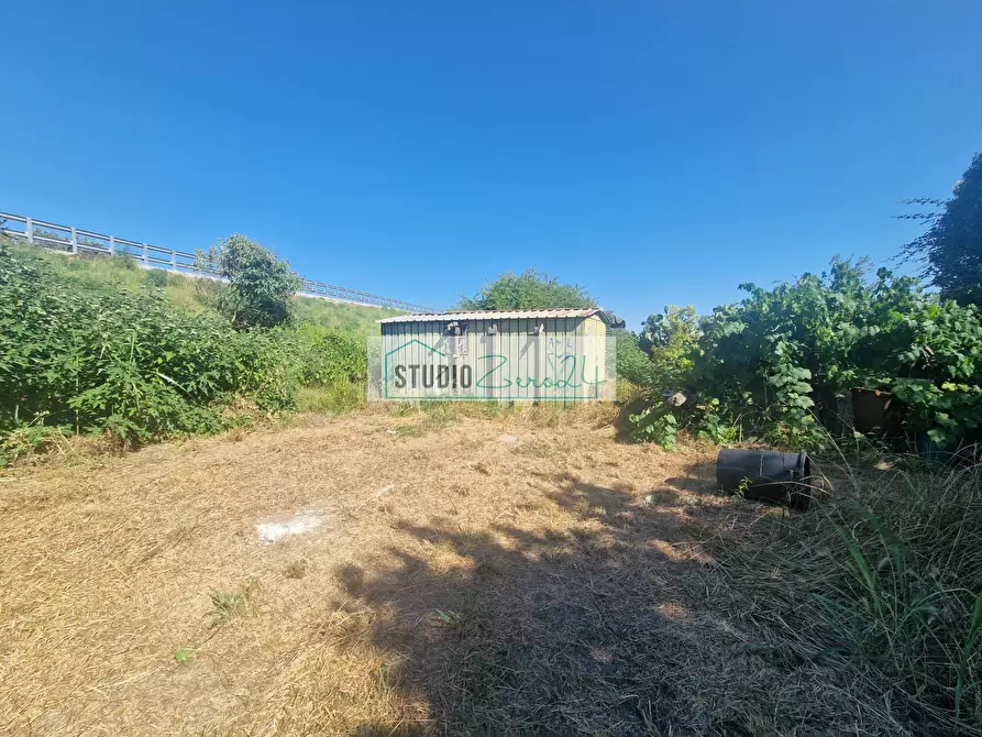 Immagine 7 di Terreno agricolo in vendita  in via bucine est a Camaiore