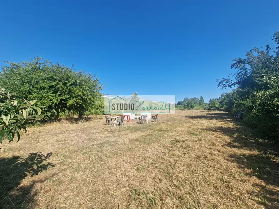 Immagine 1 di Terreno agricolo in vendita  in via bucine est a Camaiore