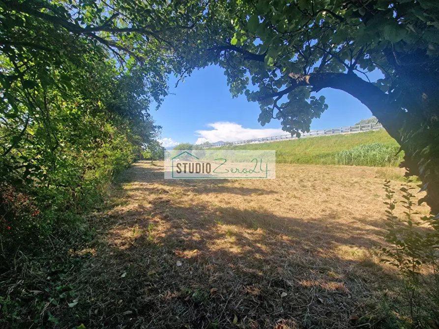 Immagine 8 di Terreno agricolo in vendita  in via bucine est a Camaiore