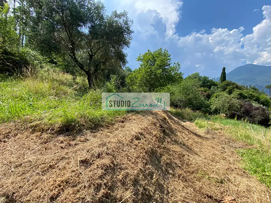 Immagine 44 di Casa semindipendente in vendita  in via xxv aprile a Camaiore